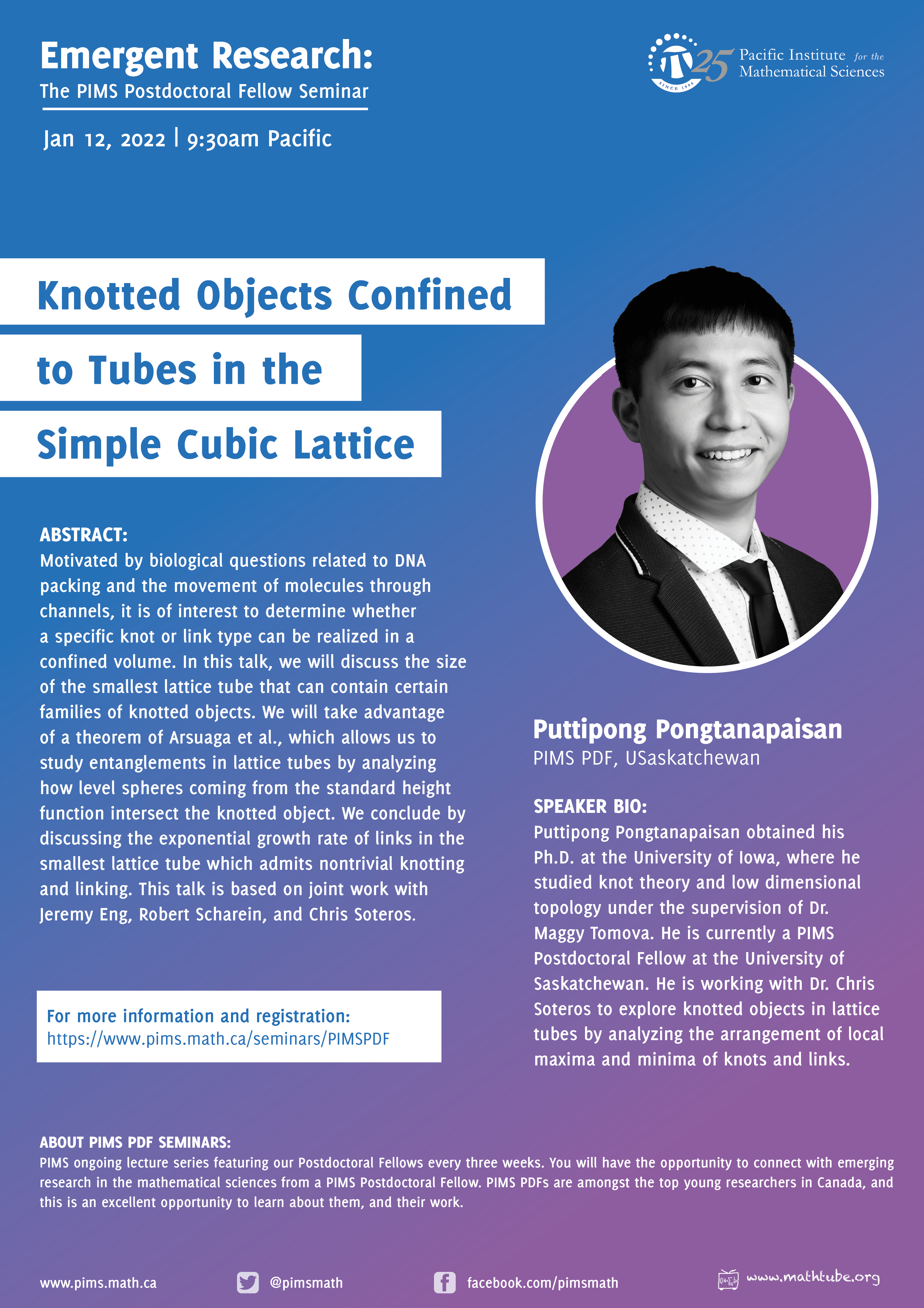 PIMS PDF Puttipong Pongtanapaisan