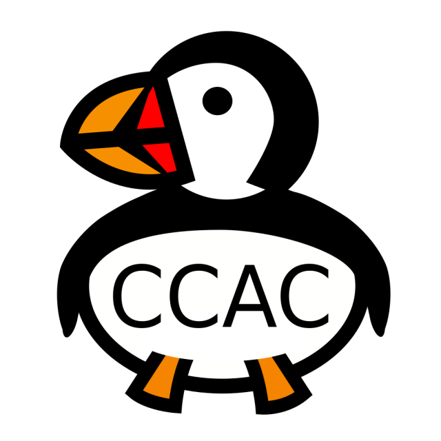 Combinatorial Commutative Algebra in Canada (CCAC)